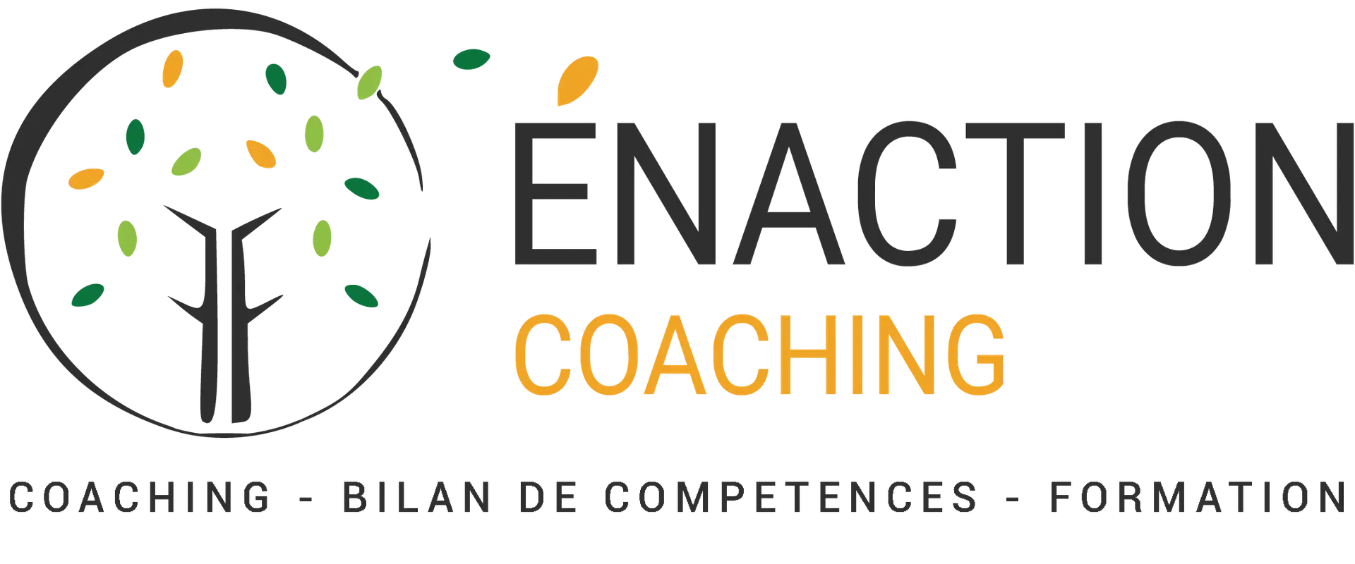 Enaction Coaching - Coach Professional Certifié Bilan De Compétences - Formation