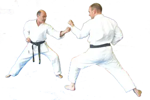 Saint Piran's School Karate