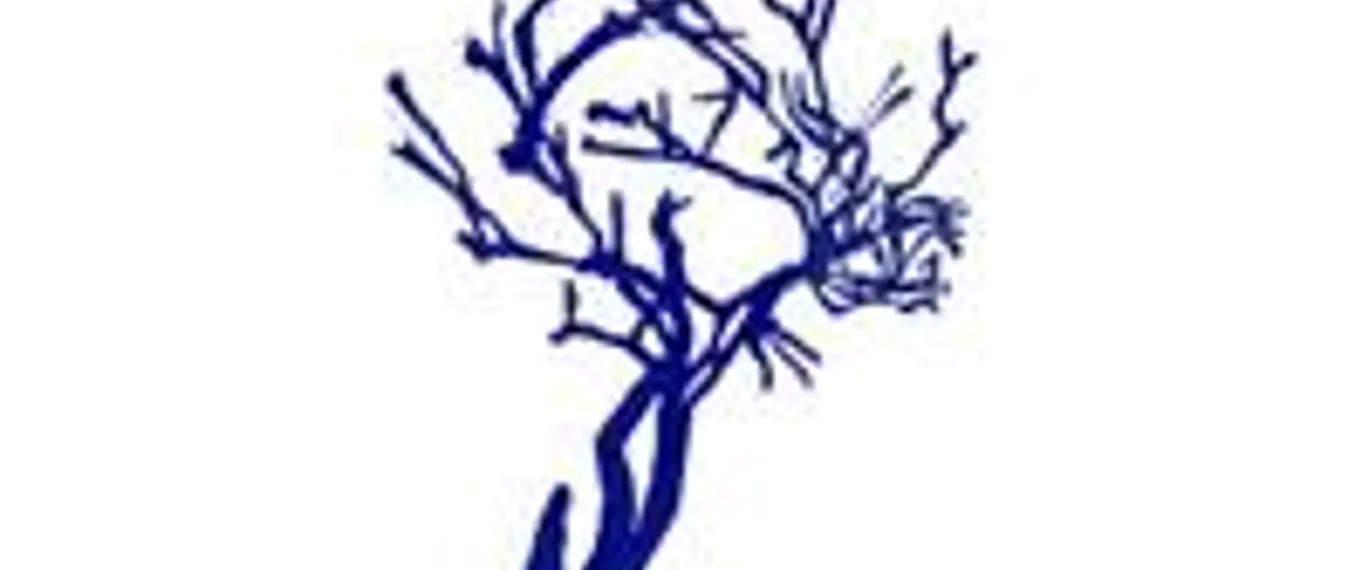 Francois Echassoux - Franck Cadoux - L'arbre Bleu-Dordogne, Chambre D'hôtes, Organisation Et Accueil De Stages