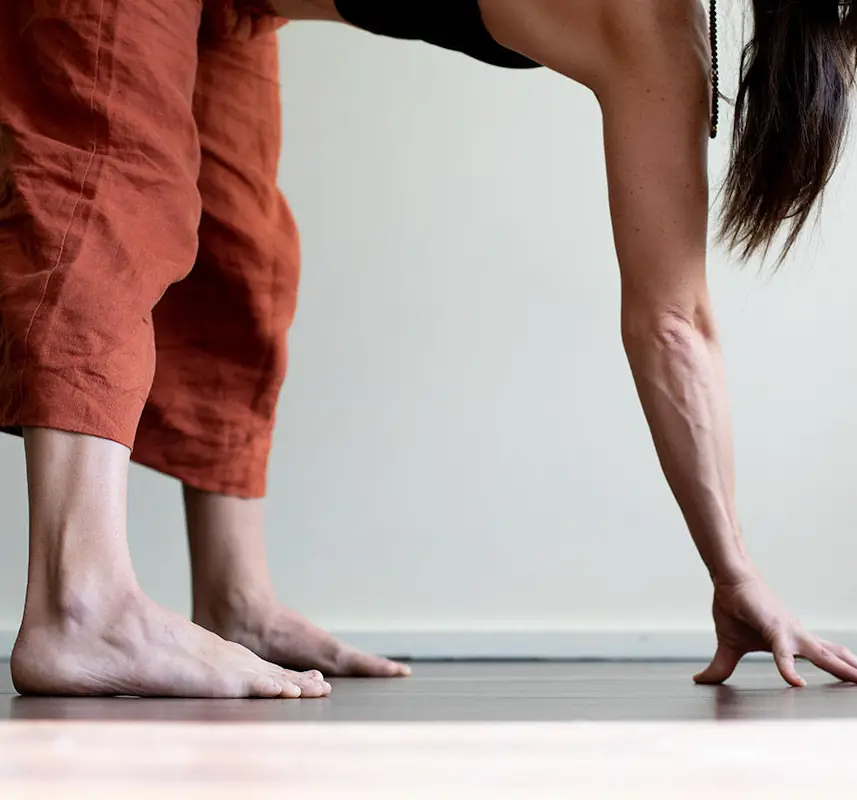 The Yoga Studio