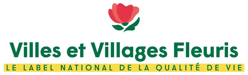 Music School
