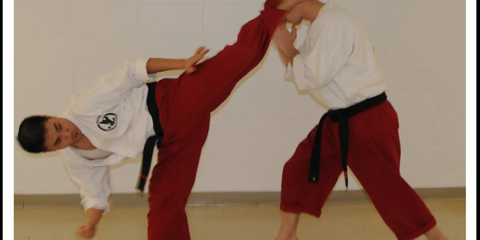 Academy of Integrated Martial Arts