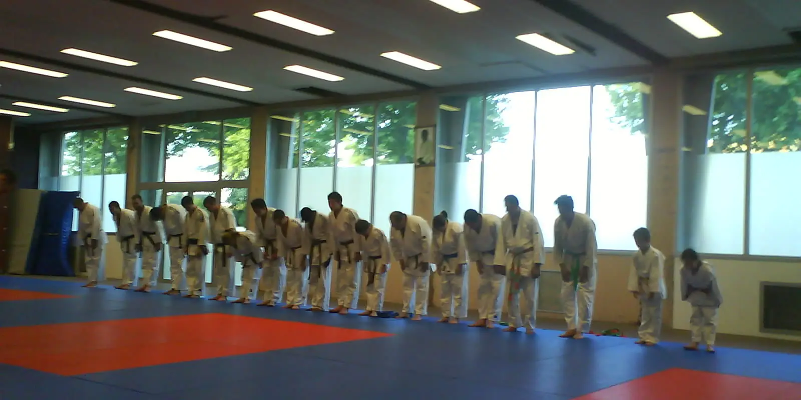 Alvp Judo