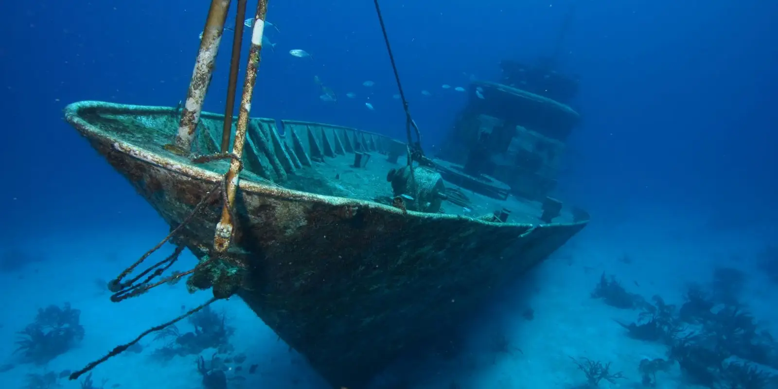 Diving Dynamics