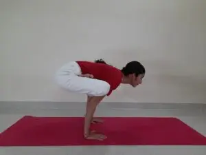 Yoga Sadhana Kendra (Saraswati Srividya)