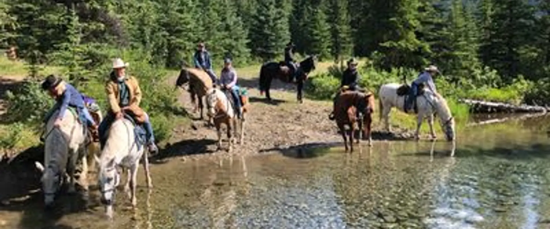 Horsepowered Adventures