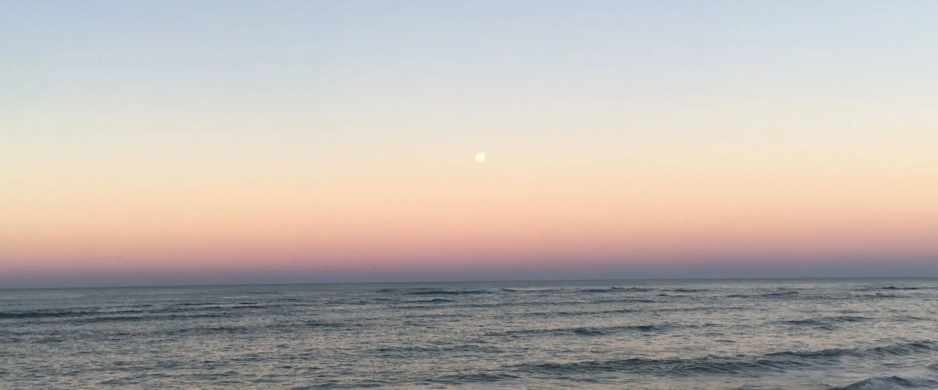 Reset