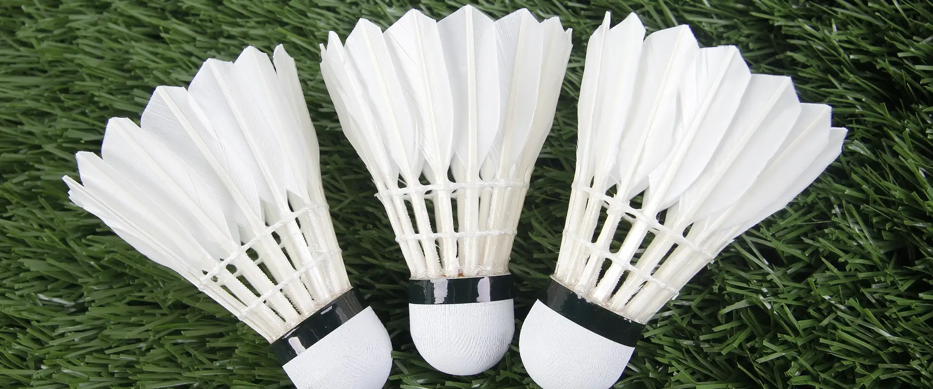 Longuenesse Badminton Club