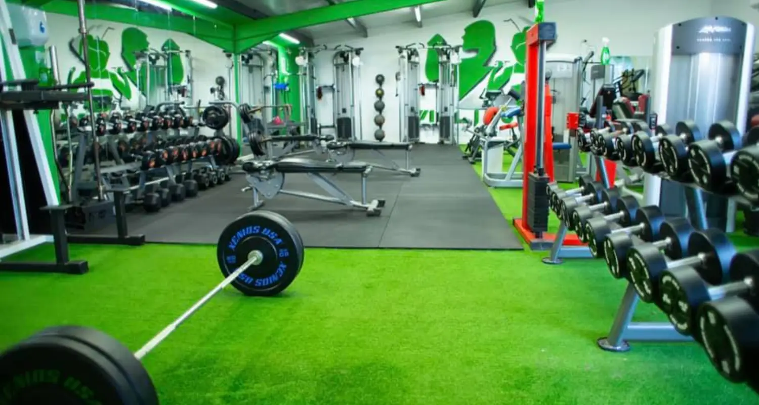 Willingham Gym and Wellness