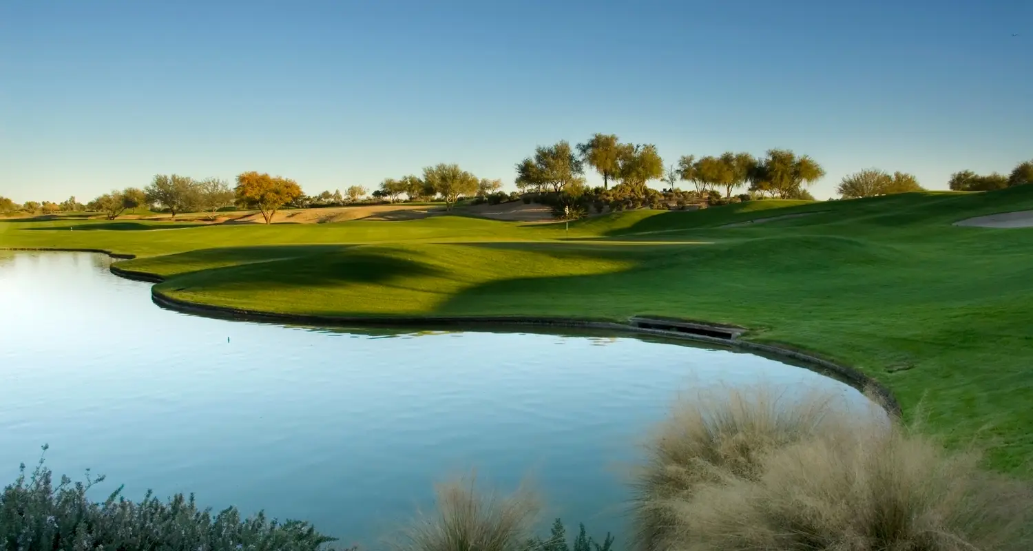 Birds Golf Sports Lounge