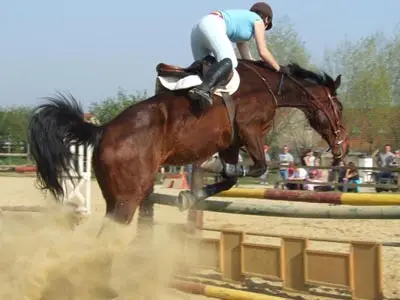 Stud Des Trois Country