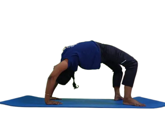 Ohm Praunic Yoga Centre