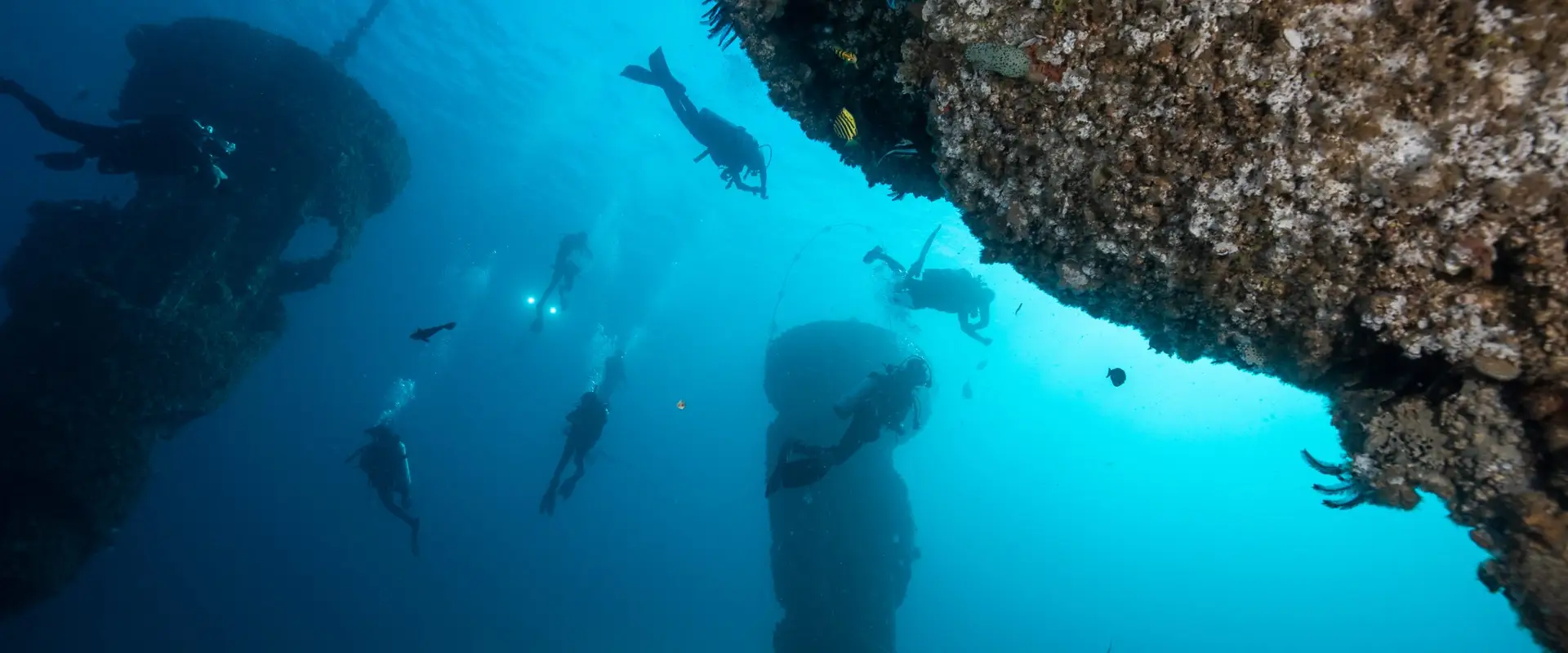 Gold Coast Dive Adventures