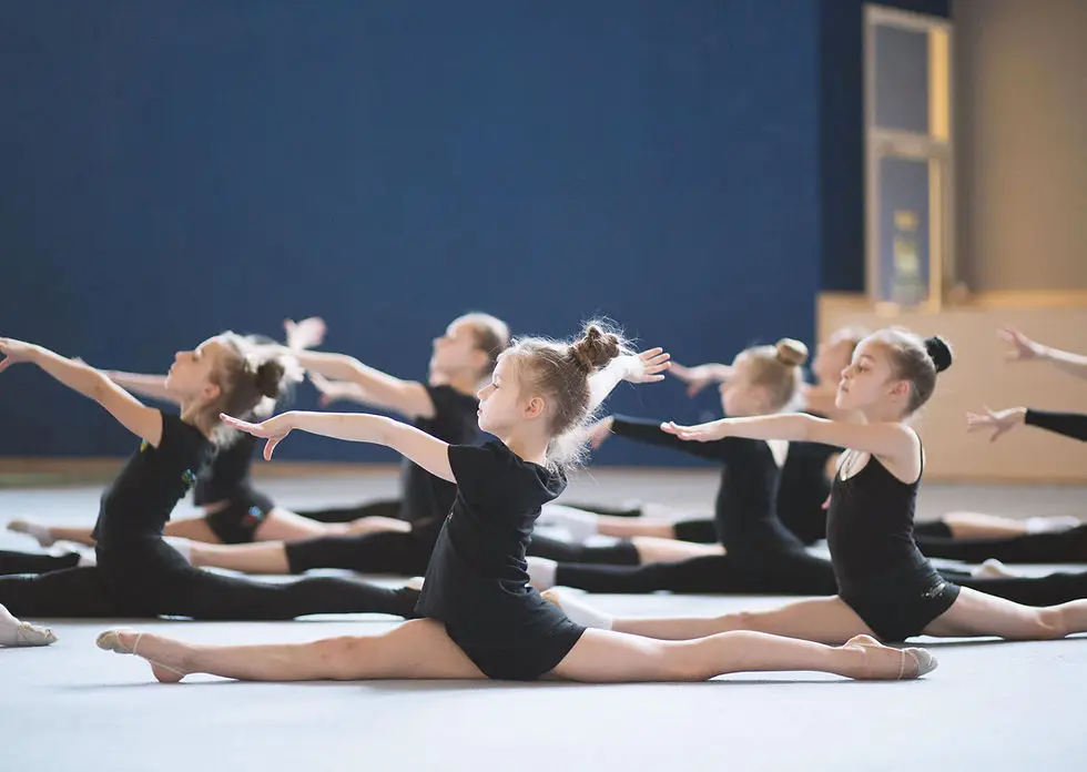 Symmetry Gymnastics
