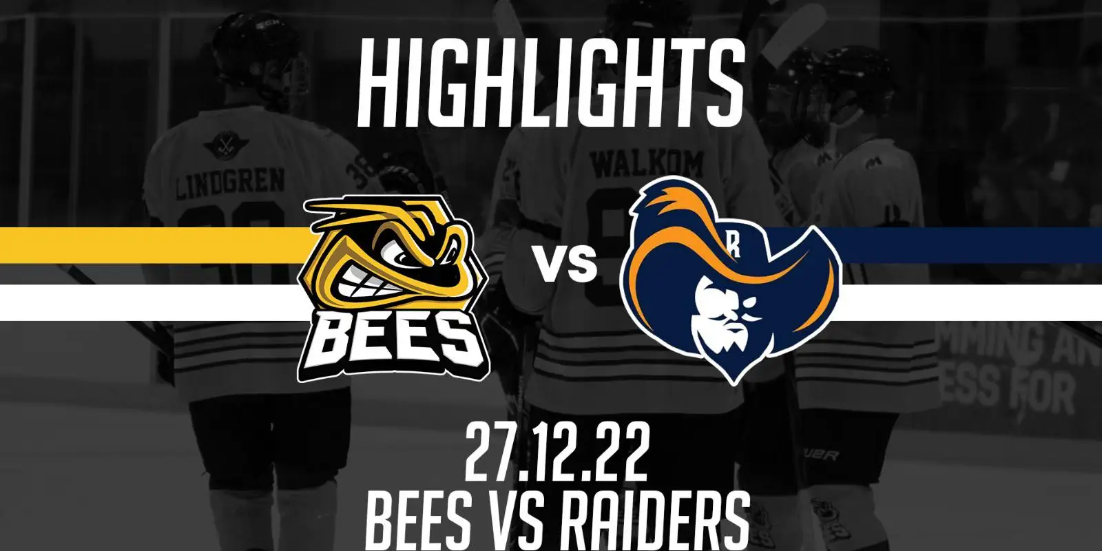 Bees Ice Hockey Club