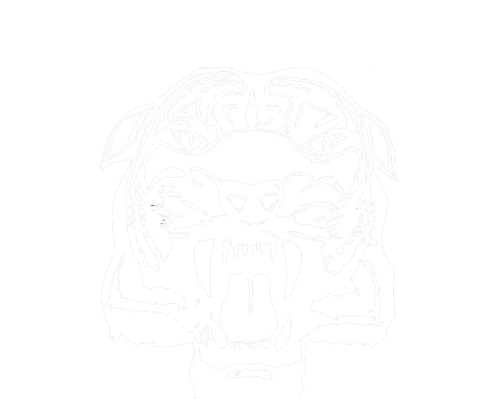 Castleford Tigers RLFC