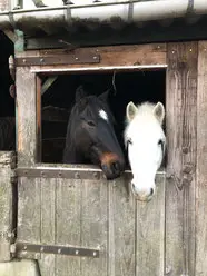 Equestrian Center Les Sablons