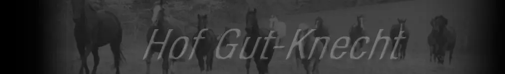 Hof Gut Knecht / Pferdepension / Reitstall