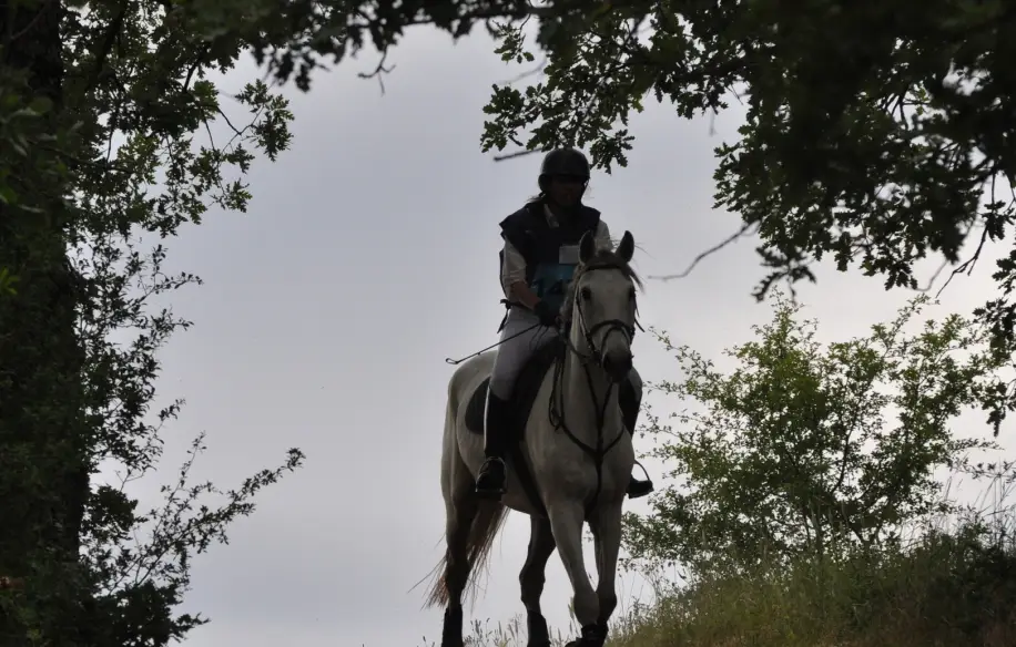 Centre Equestre