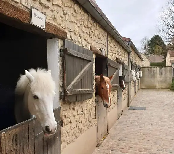 PONEY CLUB DE LA SENTE