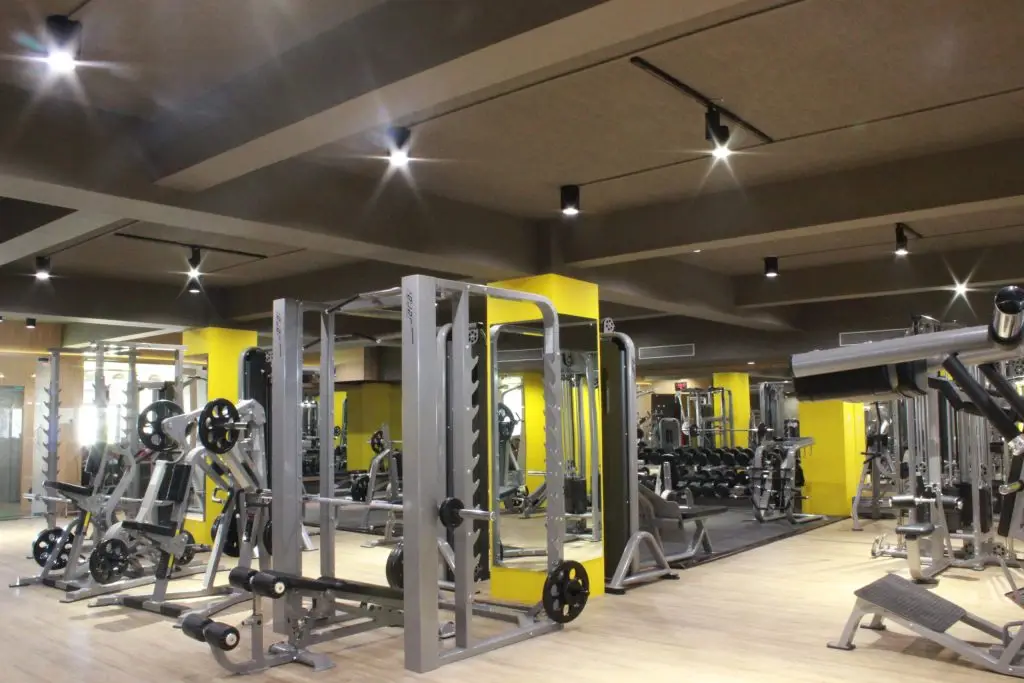 Avi's Fitness Studio