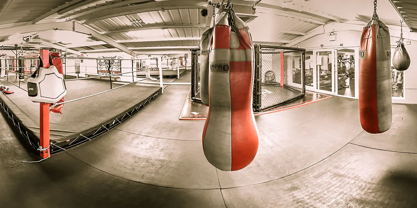 Monster Gym