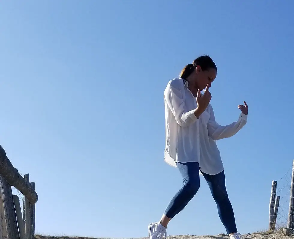 Spdanseproject