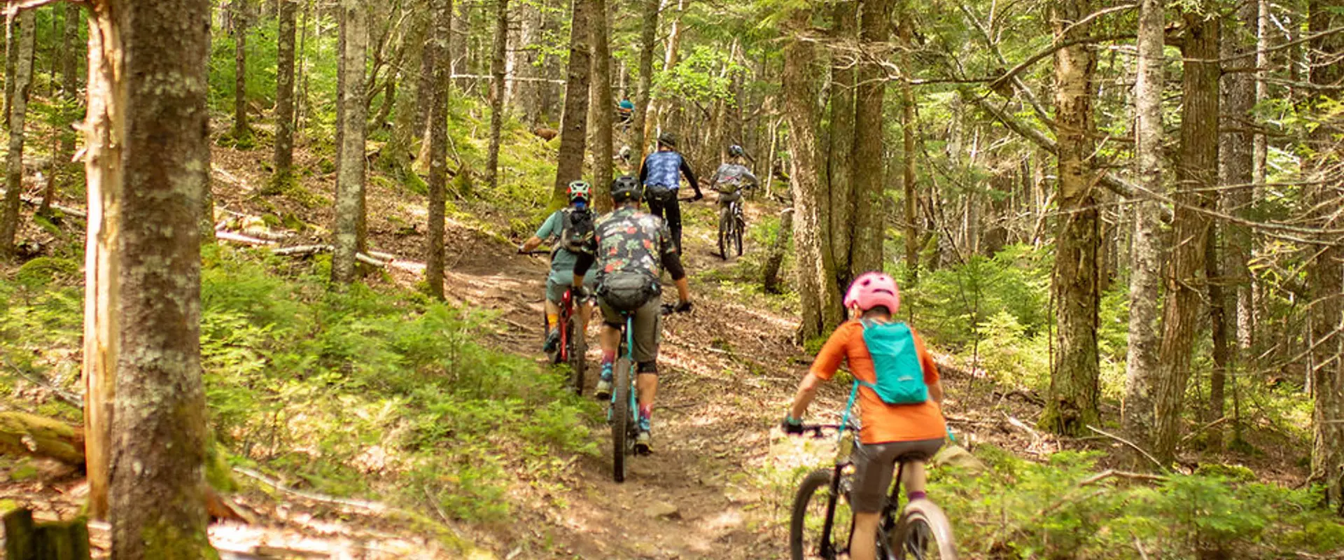 The Gore Trails