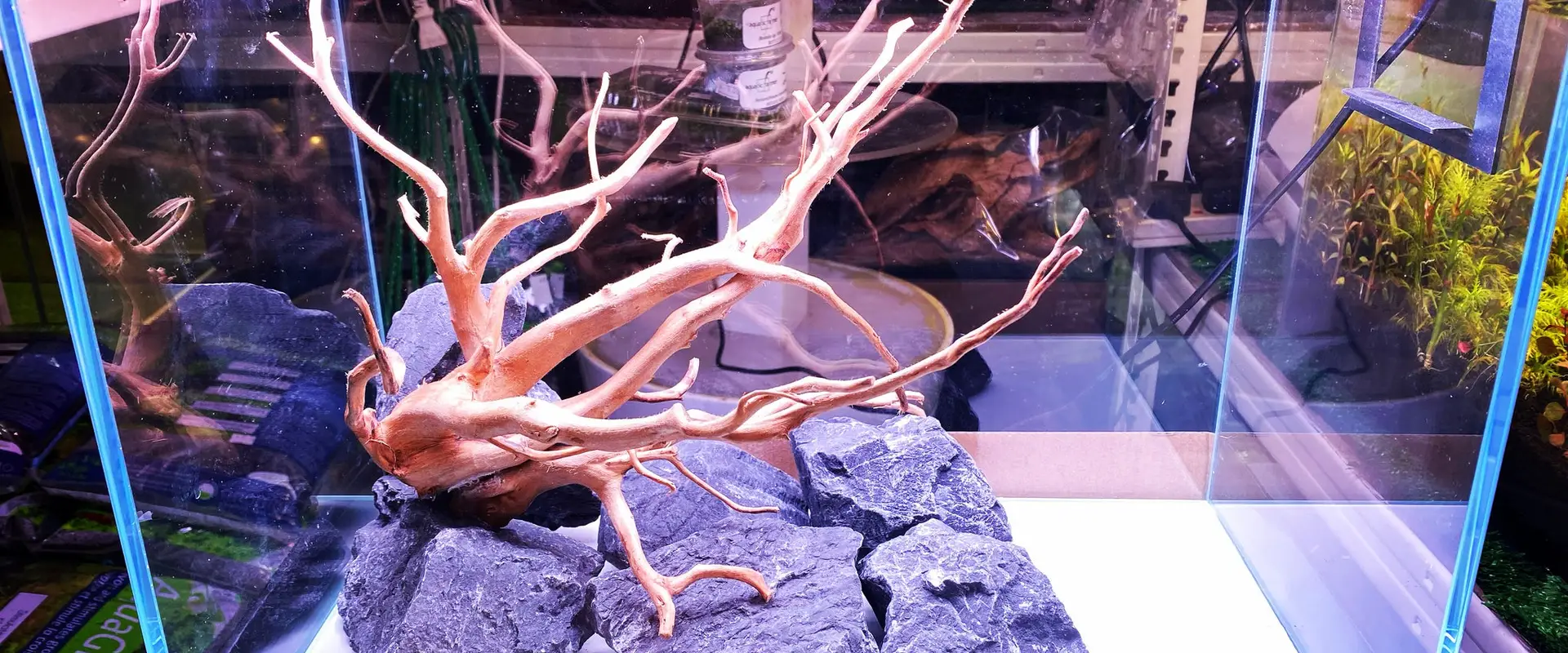 Green Fingers Aquarist
