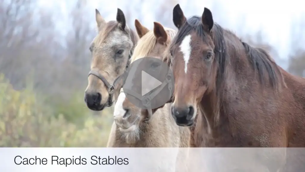 Cache Rapids Stable & Tack Shp