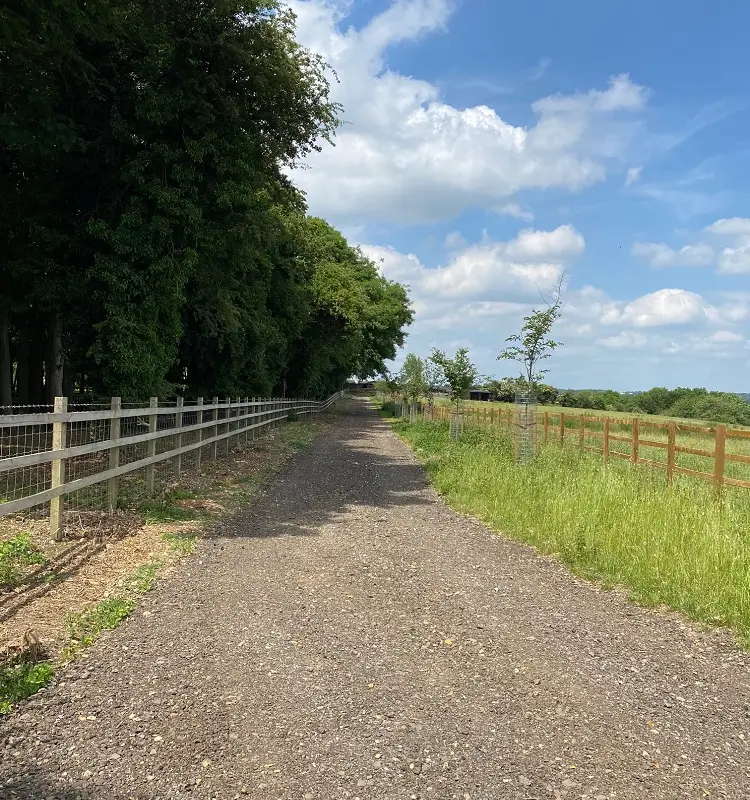 Walx - Thames Valley