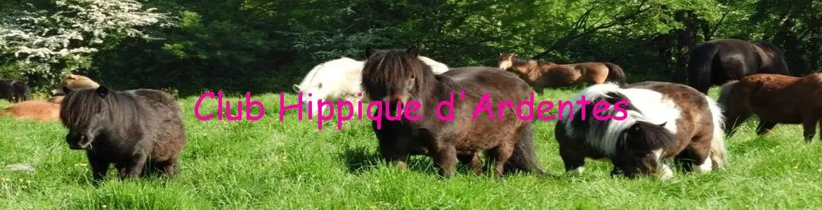 CLUB HIPPIQUE D ARDENTES