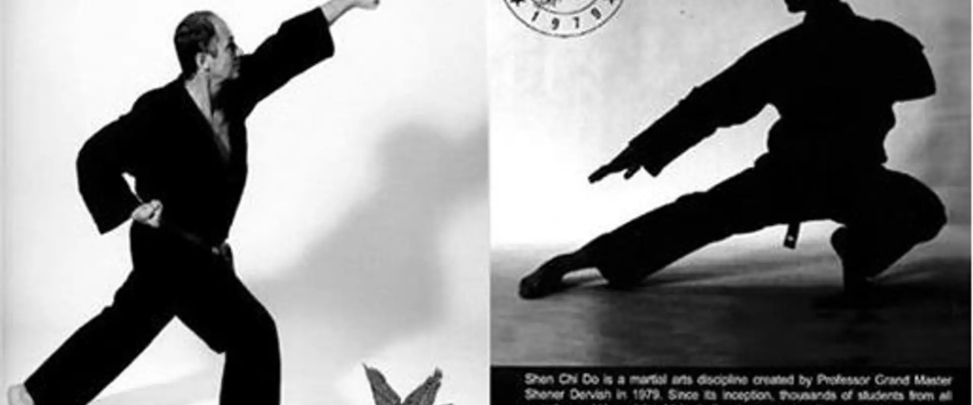 Shen Chi Do Martial Arts