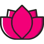 Setu Yoga Studio