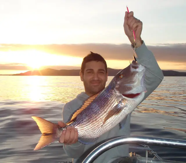 Lavandou Sport Fishing Vincent Palun Moniteur / Guide de pêche