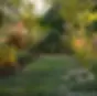 Coaching Jardin Béarn