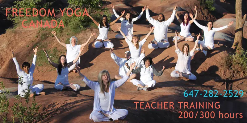 Freedom Yoga