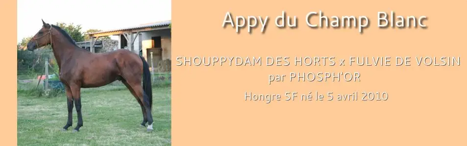 Ecuries Du Champ Blanc