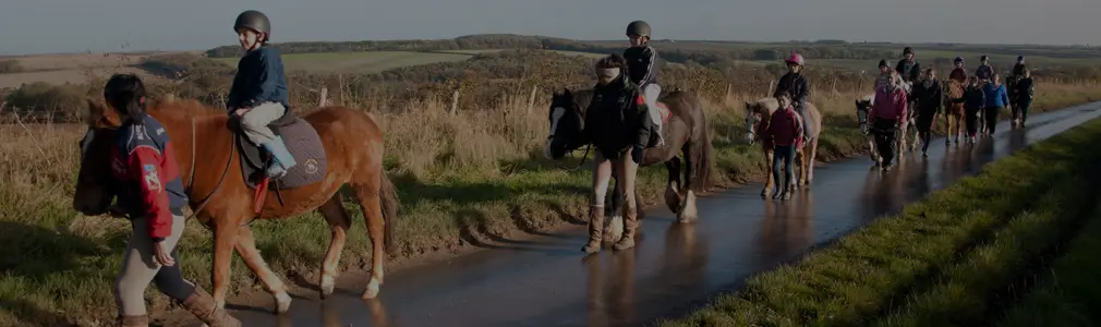 Woldgate Trekking & Livery Centre