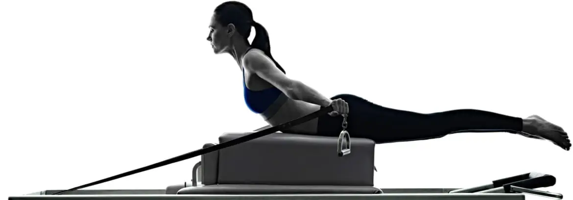 Muscle Joint Bone - Doreen