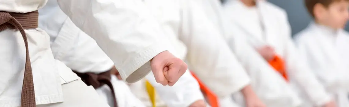 The Dojo Karate Centre