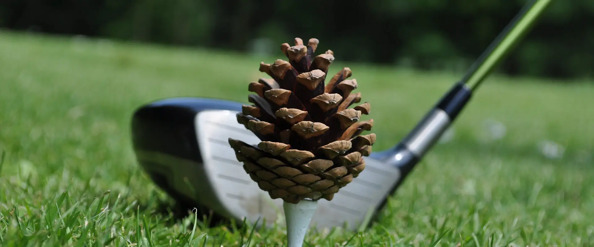 Golf Nampont Saint-Martin