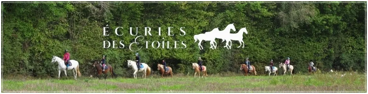 Stalls Des Étoiles