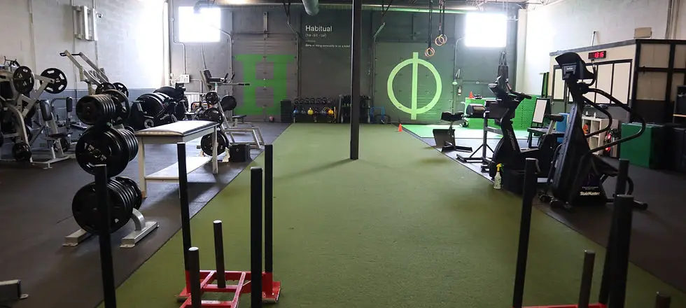 Habitual Fitness & Lifestyle
