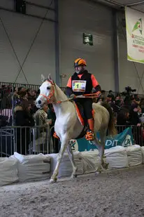 Tours'N Riders