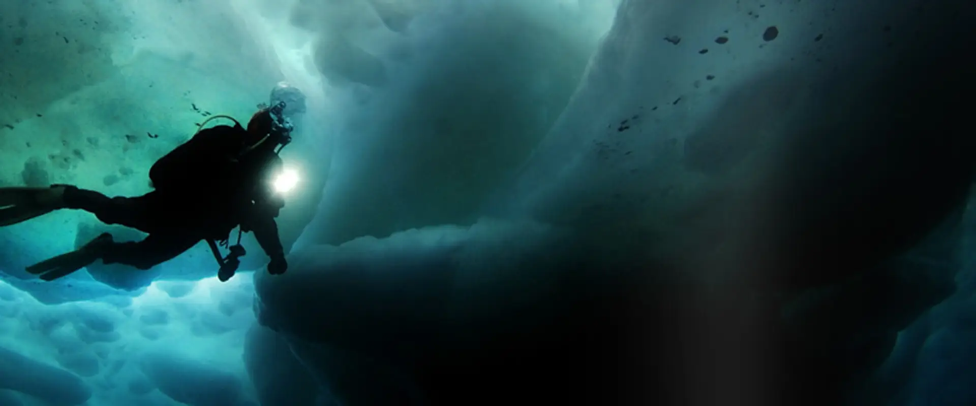 Bay City Scuba