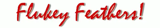 Flukey Feathers Badminton Club