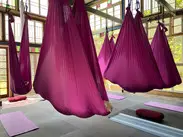 Elevate Aerial Academy