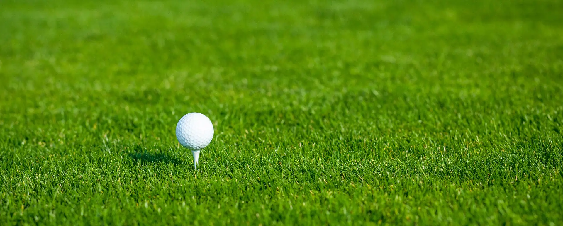 Homestead At Wolf Ridge Golf Course and Driving Range