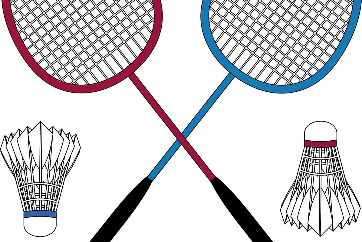 ASPC BADMINTON (Angers - Les ponts de cé)
